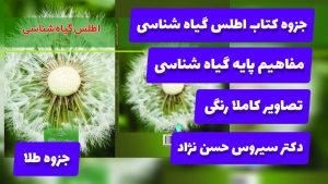 اطلس گیاه شناسی